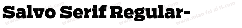 Salvo Serif Regular字体转换